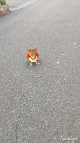 3セットマッチを3試合 コーキとひょうたんtennisブログ No3