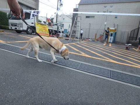 f0052277_14942.jpg