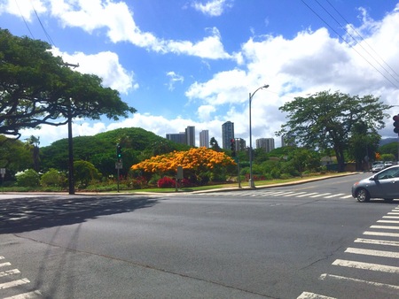 c0180581_1625135.jpg