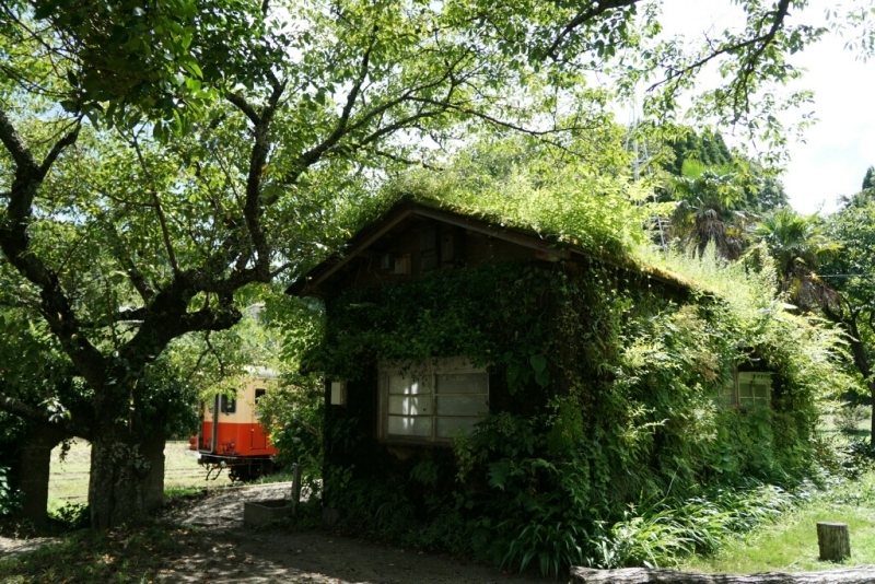 d0341483_06092798.jpg