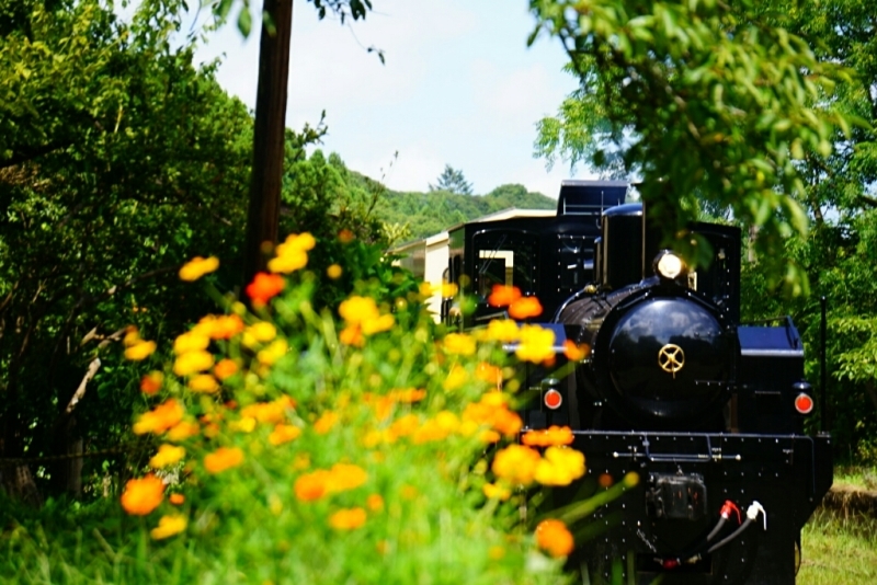 d0341483_06092994.jpg