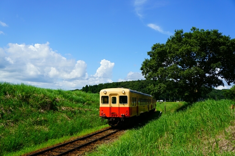 d0341483_06093324.jpg