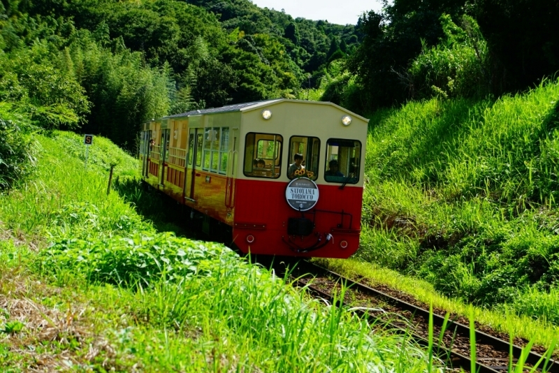 d0341483_06093543.jpg