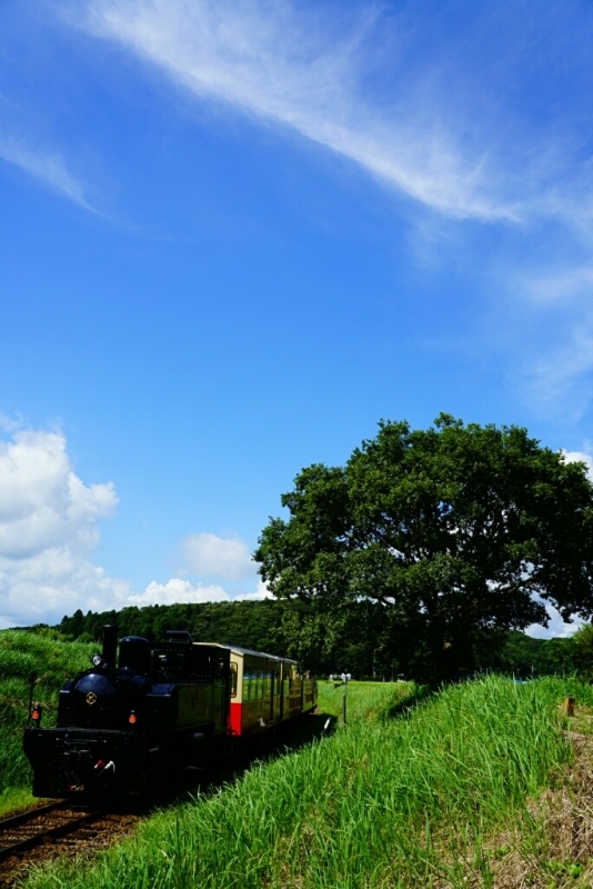d0341483_06093753.jpg