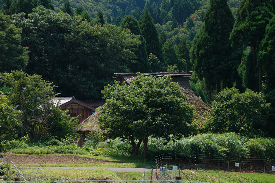 16.07.30：マキノ～朽木、茅葺きの夏１_c0007190_18434667.jpg