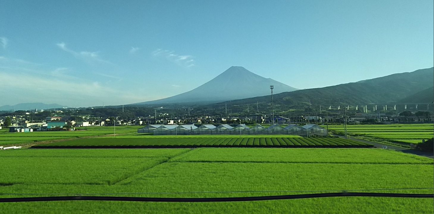 e0199691_1381570.jpg