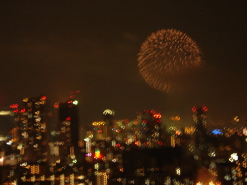 なにわ淀川花火大会_e0353802_14510038.jpg