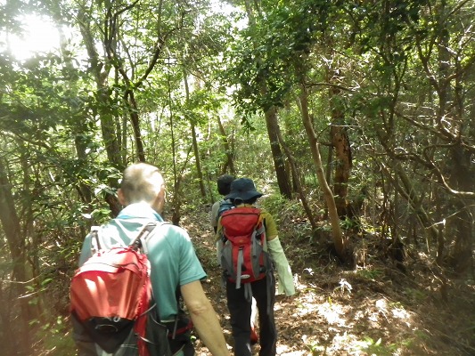 f0187402_1610226.jpg