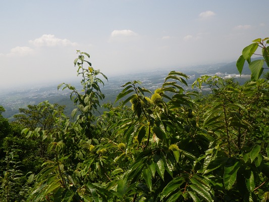f0187402_16121983.jpg