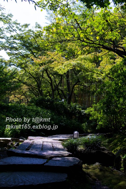 松花堂庭園  ＃001【夏】_f0360002_0583980.jpg