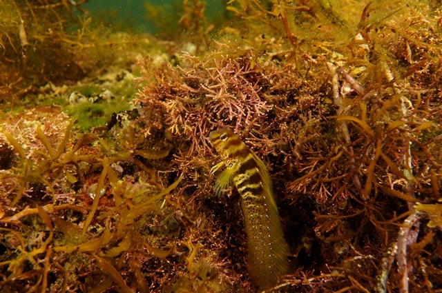 c0368903_10231340.jpg
