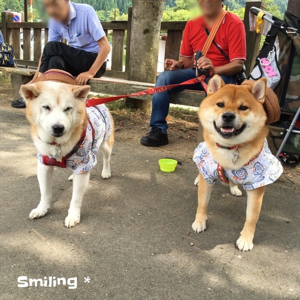 f0340004_16552231.jpeg