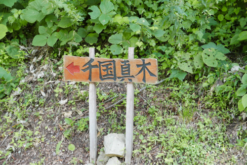 北信濃ぶらり?がっつり!_d0147406_20303734.jpg