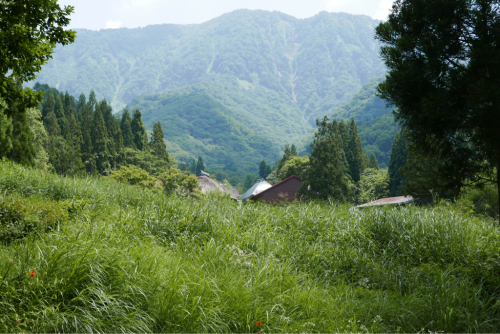 北信濃ぶらり?がっつり!_d0147406_20502933.jpg
