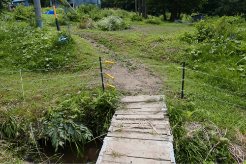北信濃ぶらり?がっつり!_d0147406_20503089.jpg