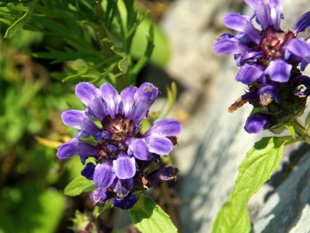 a0345007_11461131.jpg
