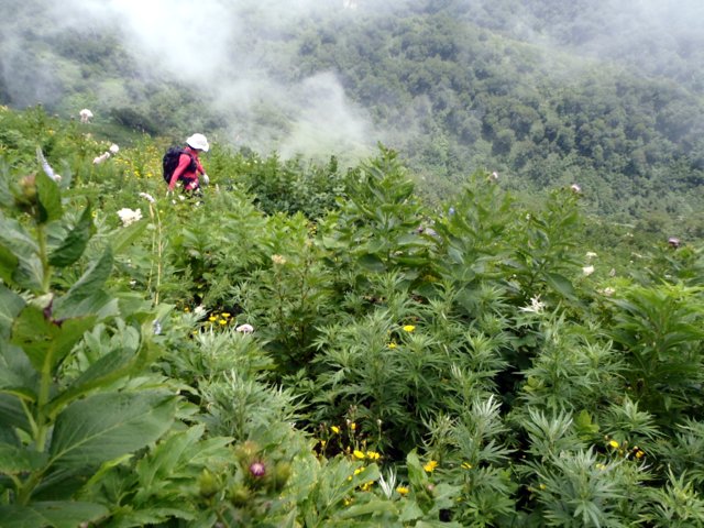 a0345007_12533643.jpg