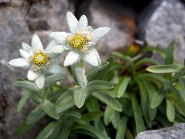 a0345007_7434999.jpg