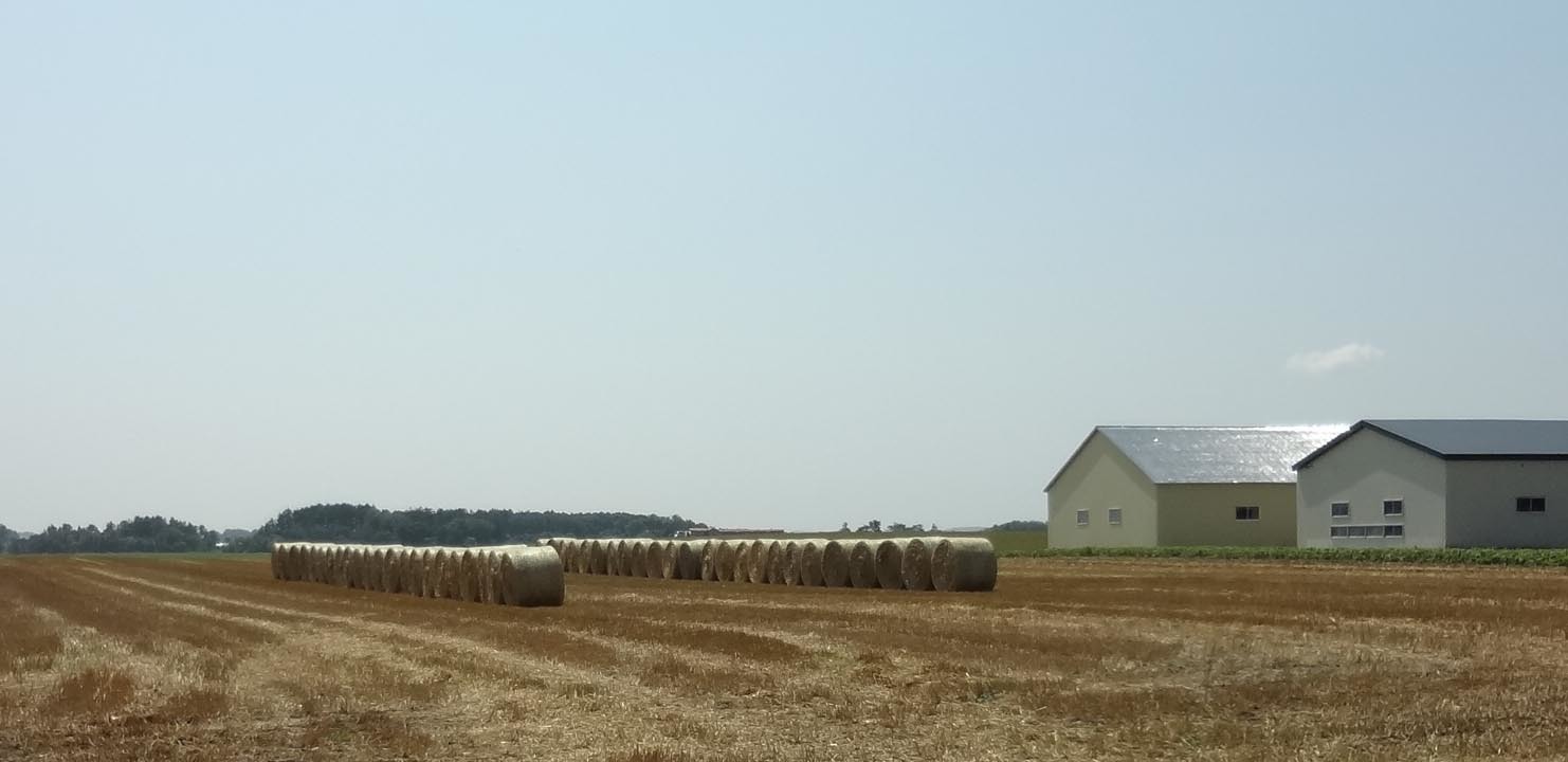 b0283211_16461405.jpg
