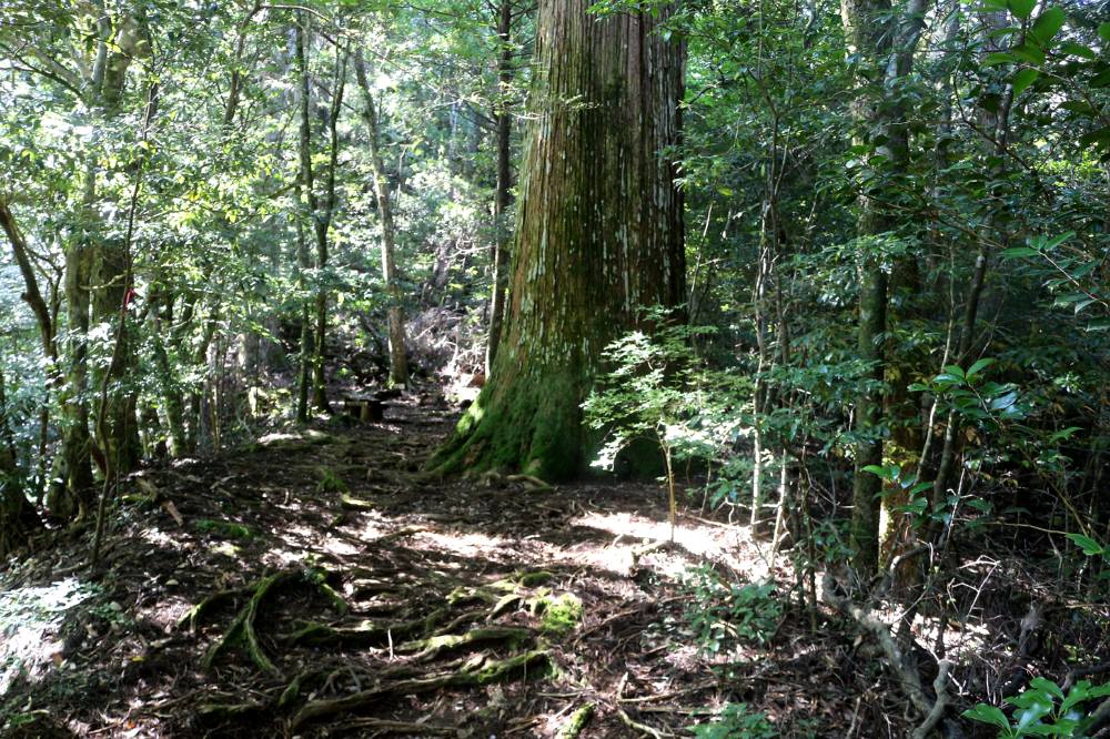 f0212511_074772.jpg
