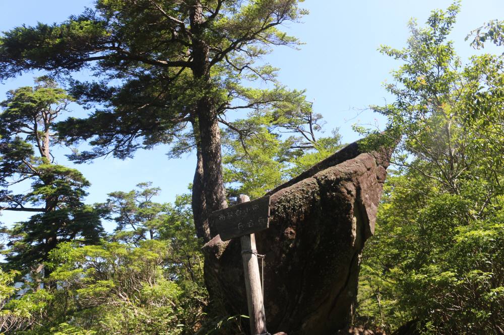 f0212511_08437.jpg