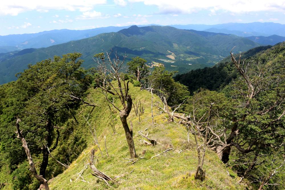 f0212511_09270.jpg