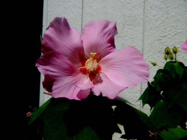 b0352112_11165912.jpg