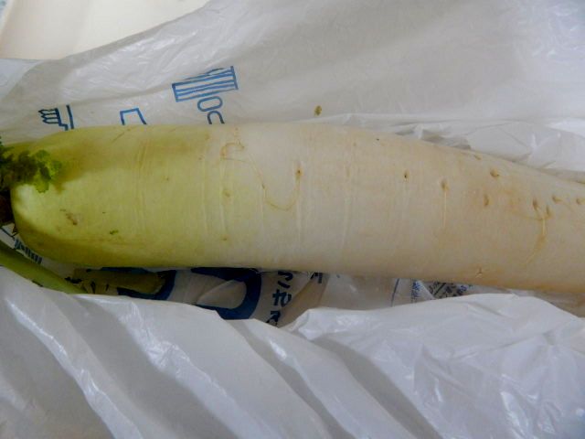 b0352112_1143240.jpg