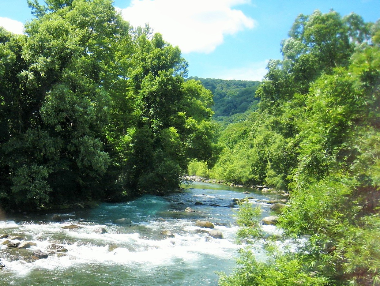 f0032812_949712.jpg