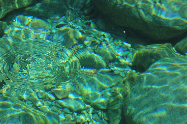 e0242721_8165822.jpg