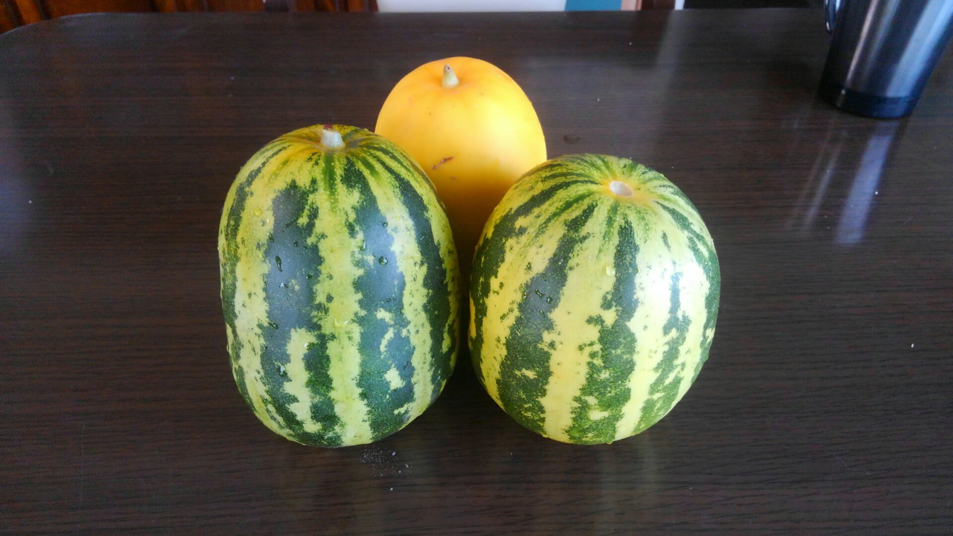 f0111128_17224115.jpg