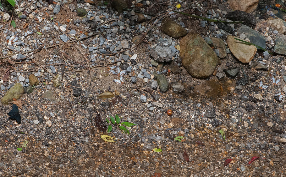 a0126632_14304814.jpg