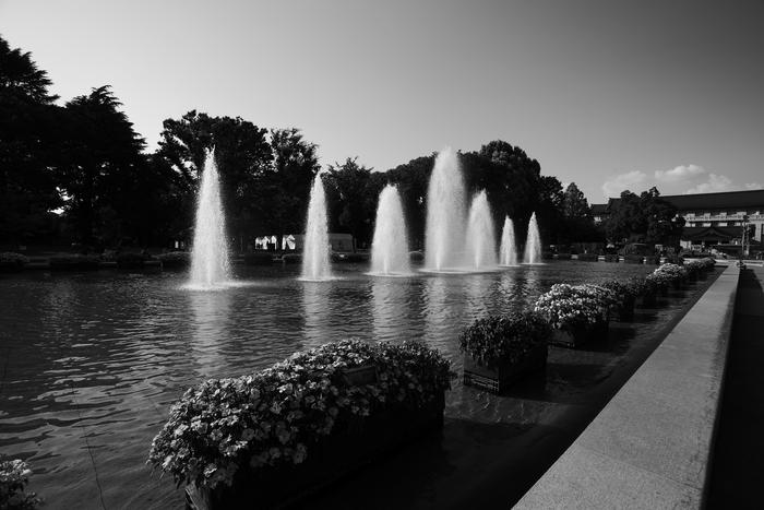e0191232_15544810.jpg