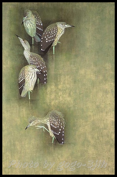 上村松篁「星五位」希少画集画、新品高級額、額装付、状態良好、