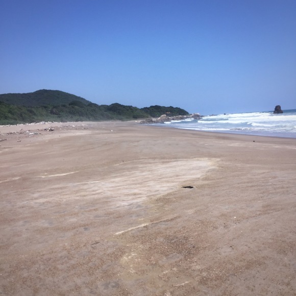 c0312349_20320859.jpeg