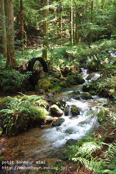a0181553_22504415.jpg