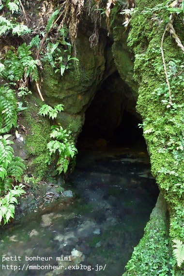 a0181553_22504984.jpg
