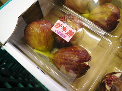 甘熟いちじく 朝採りいちじく大好評発売中!美味しい上に消化促進、二日酔い防止効果も期待できます!_a0254656_19101940.jpg