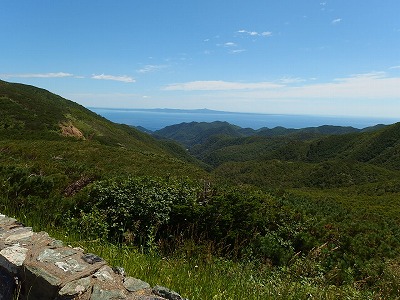 e0004756_20573034.jpg