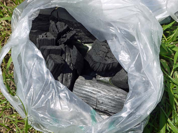 鎌倉だいこん栽培予定地に六国見山間伐材使用の炭撒き_c0014967_10125472.jpg