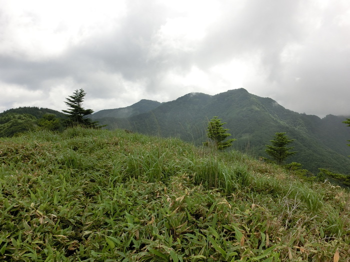 No447 徳島県（阿波）矢筈山_b0185573_11184945.jpg