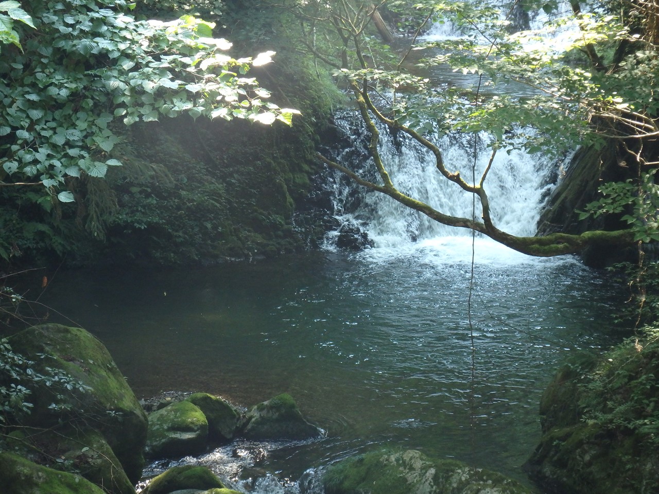 釜ヶ滝の散策 1 行者の滝 一の滝 郡上市美並町 自然風の自然風だより