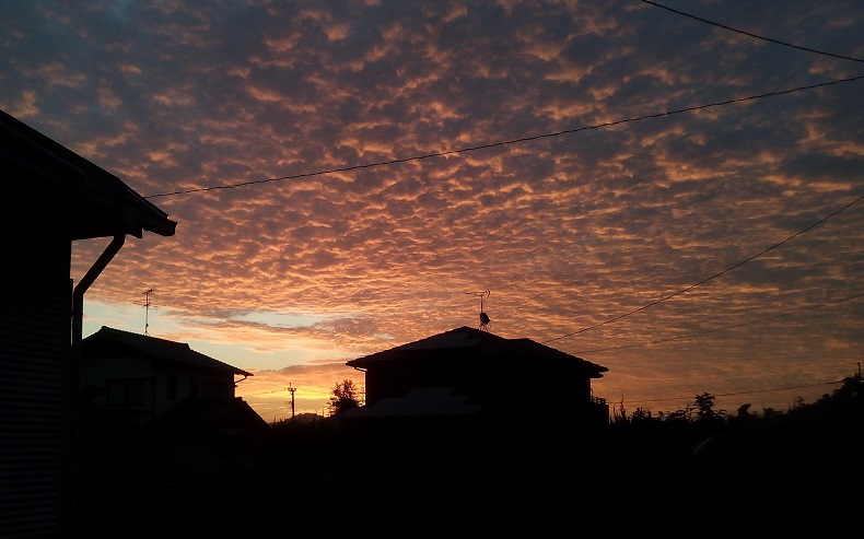 f0101679_8421627.jpg