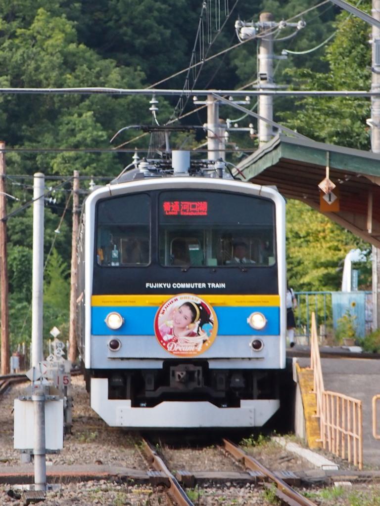 6000系サマドリ号と10形同士のすれ違い 富士急行線に魅せられて 更新休止中 6000系サマドリ号と10形同士のすれ違い 富士急行線に魅せられて 更新休止中