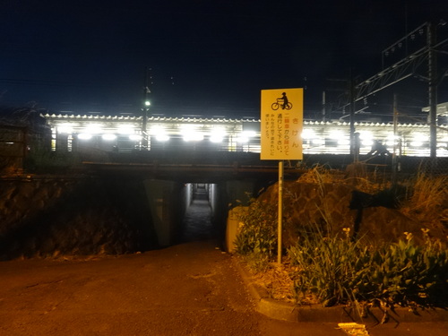 d0212491_23121378.jpg