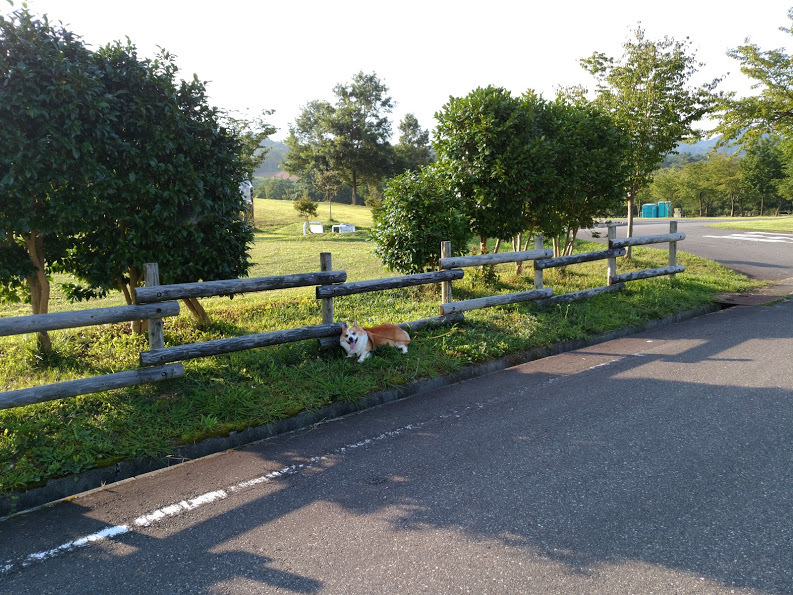 f0164499_15081723.jpg