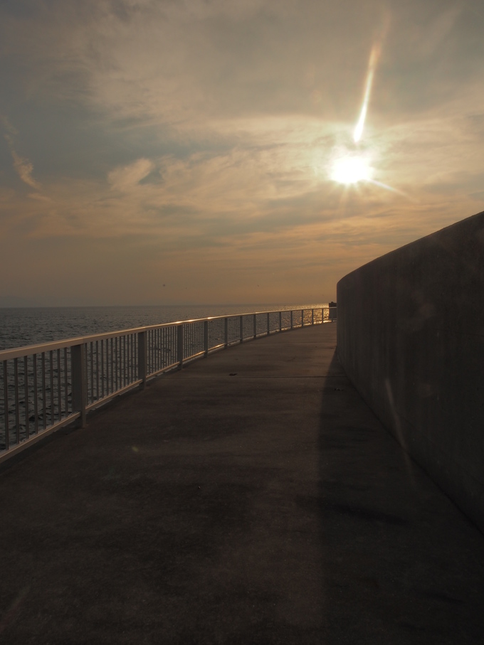 f0319501_18143.jpg