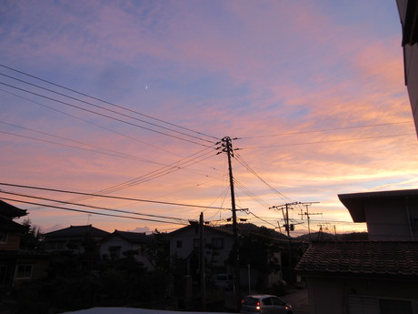 ヤコウボク咲く・ゴーヤー初物 ほか_a0203003_19474598.jpg