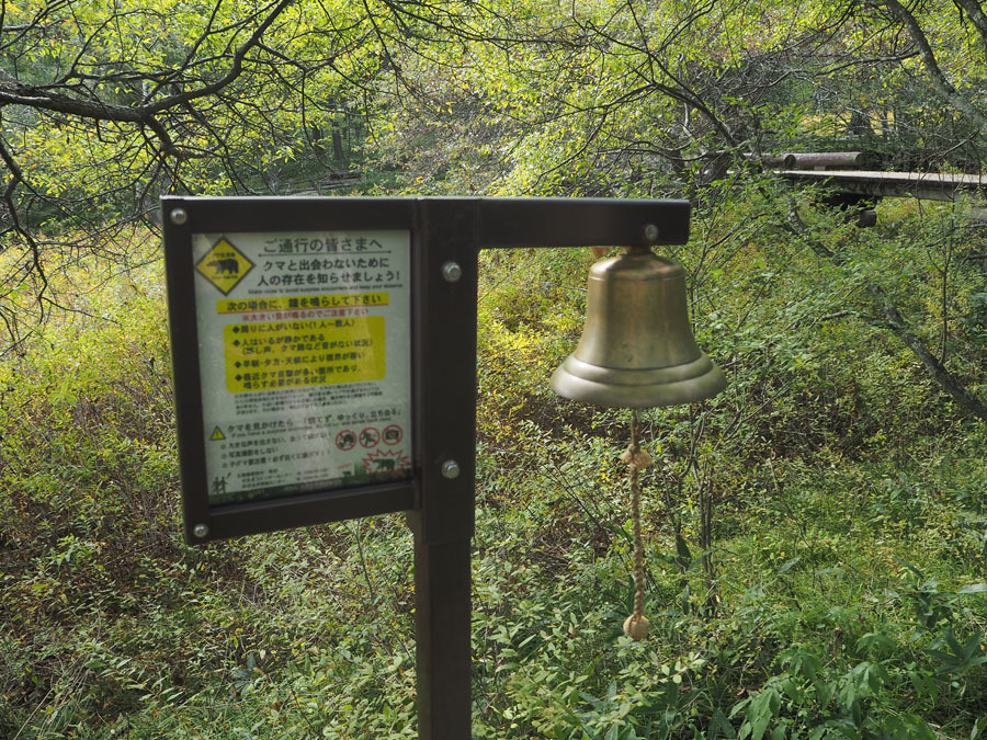 a0320705_08262496.jpg