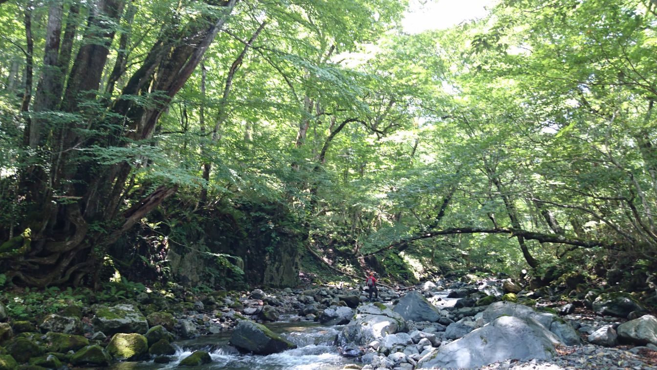 b0172805_1011363.jpg